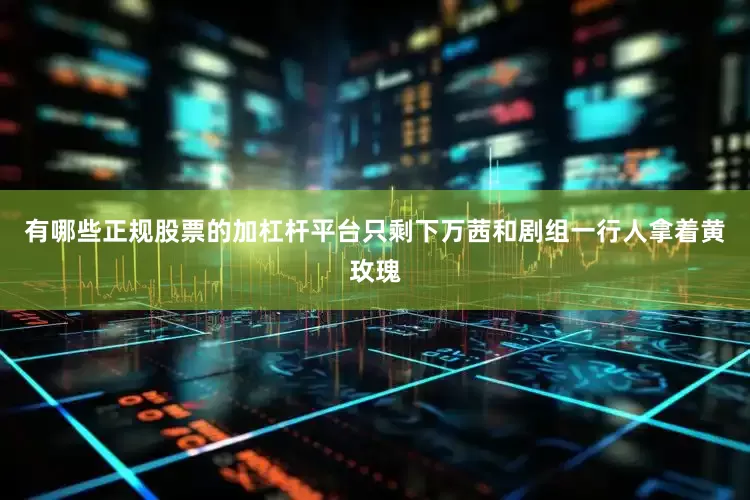 有哪些正规股票的加杠杆平台只剩下万茜和剧组一行人拿着黄玫瑰