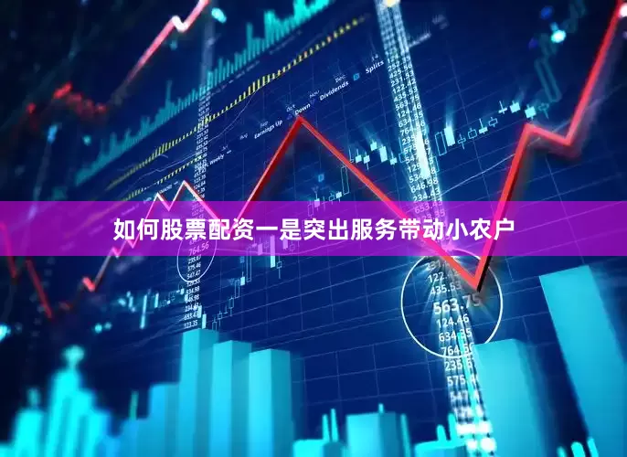 如何股票配资一是突出服务带动小农户